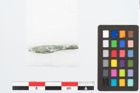 Foto von Bronzecertosafibel (NHMW-PRAE-026555)